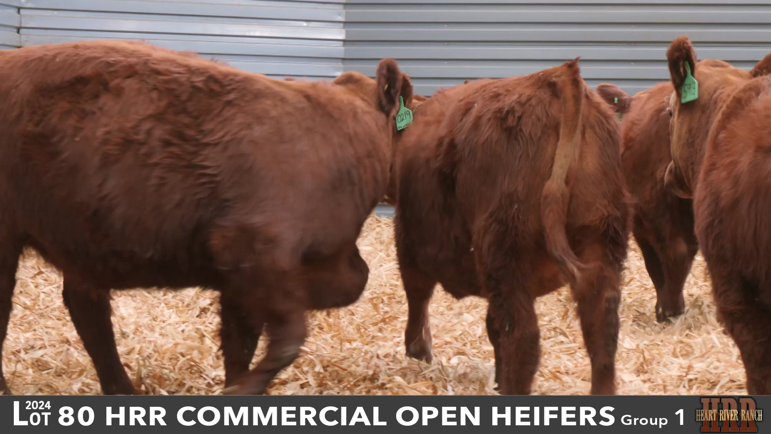 Heart River Ranch - Belfield, ND